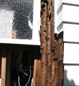 Wood Rot Repair in Overland Park | Rot Repair in Overland Park | Wood Rot Help in Overland Park