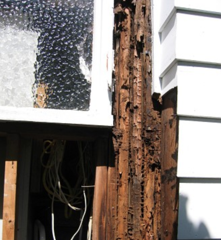 Wood Rot in Overland Park