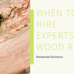 experts in wood rot