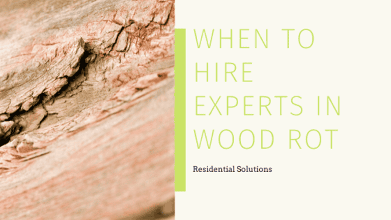 experts in wood rot