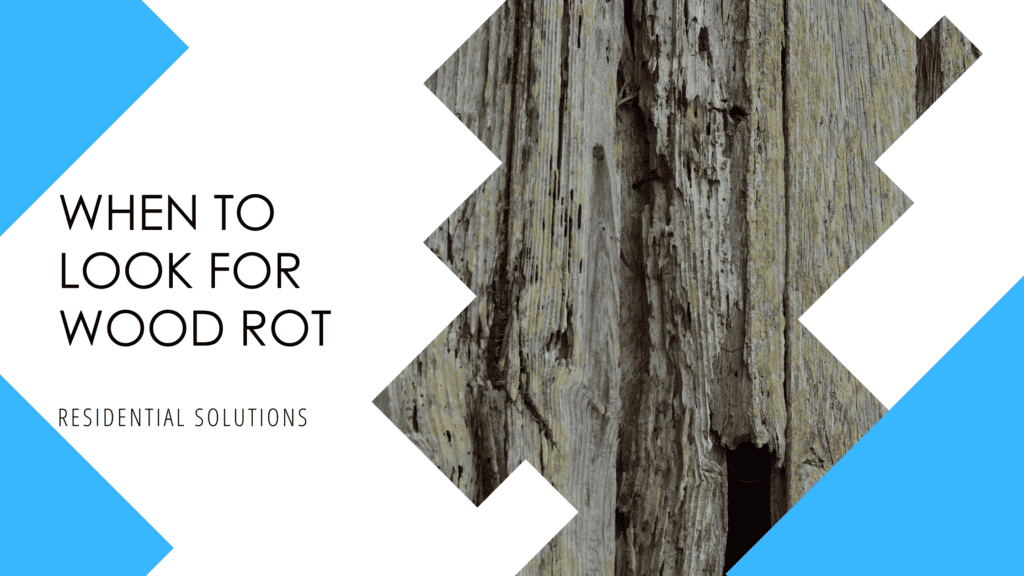 Wood Rot