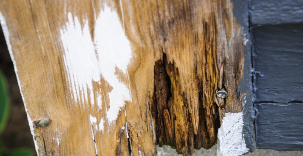 Wood Rot Repair in Overland Park